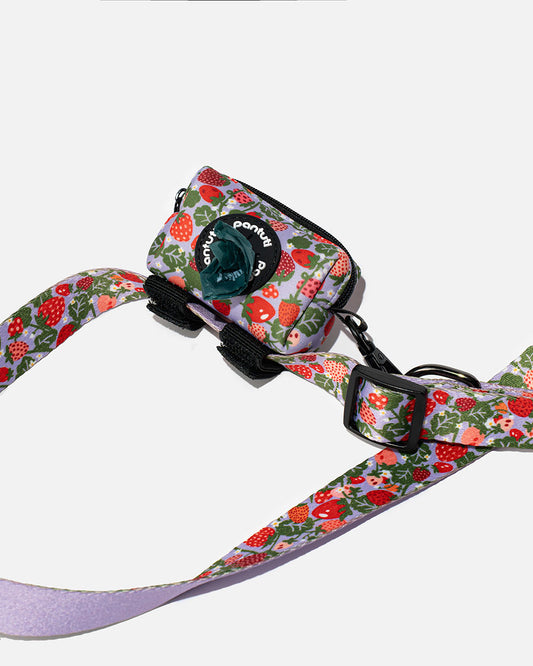 Strawberry BERRY poop bag holder for dogs
