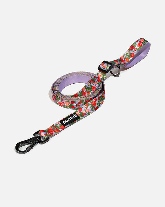Adjustable dog leash in strawberry BERRY