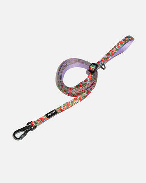 Adjustable dog leash in strawberry BERRY