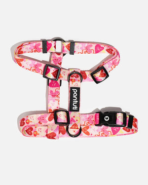 AMORE dog guard harness with hearts