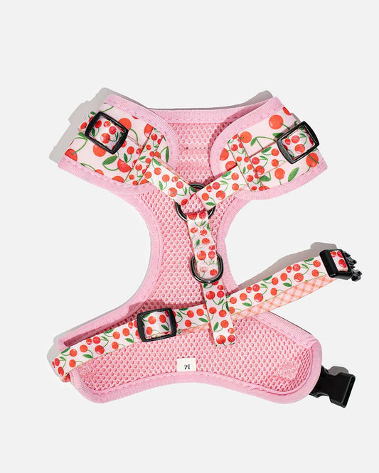 No-pull dog harness in CHERRY PUP cherries