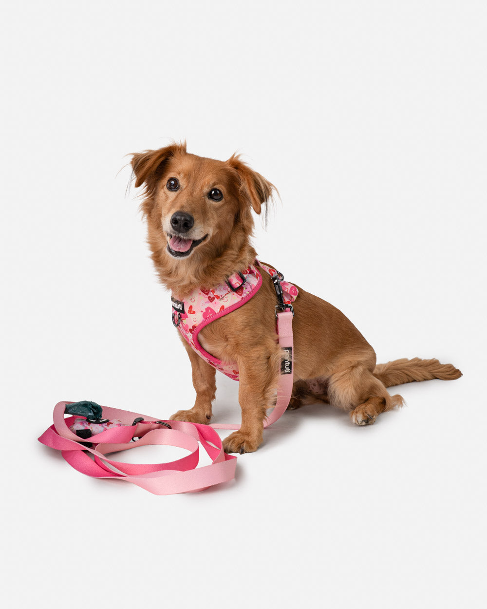 Anti-choke dog harness with hearts AMORE