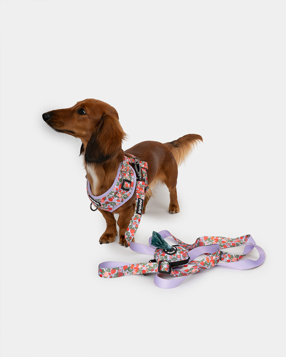 Strawberry BERRY poop bag holder for dogs