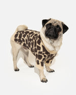 bac6c1b6bca428aa18f807b991bddb48