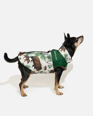 Dog jacket, back closure, with a forest-themed wild boar design