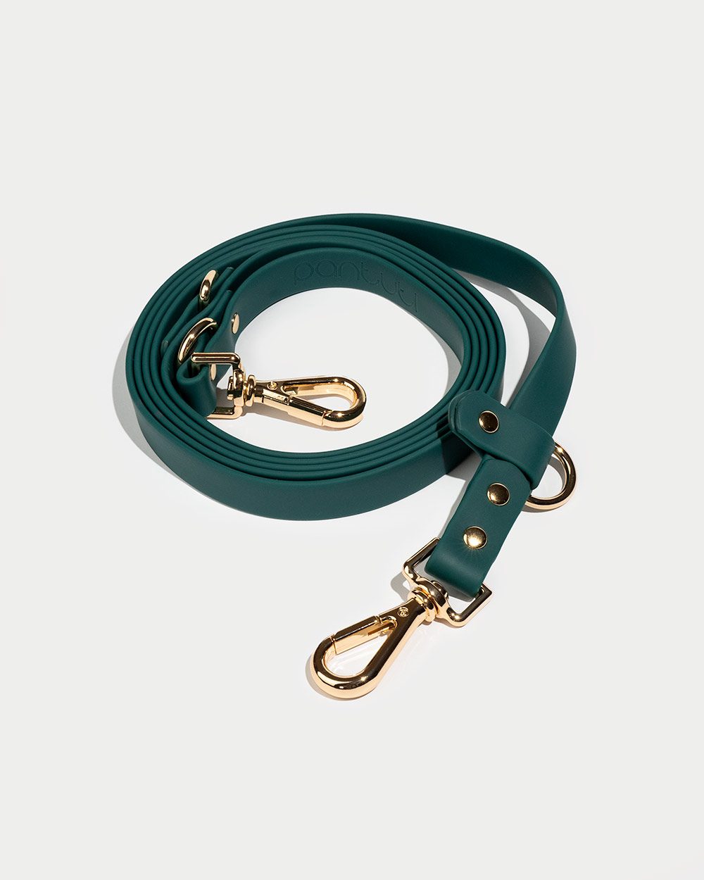 Waterproof multi-position dog leash FARO