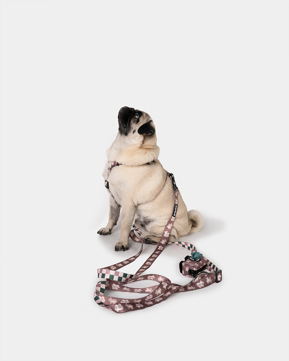 KIDO bowl dog guard harness