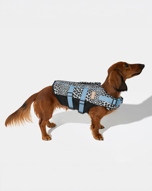 Dog life jacket EGG OF SALVATION