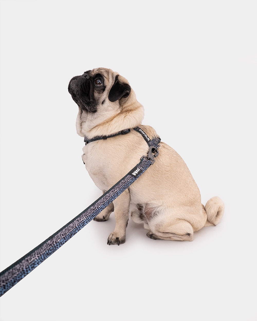 MAMBA snake pattern guard dog harness