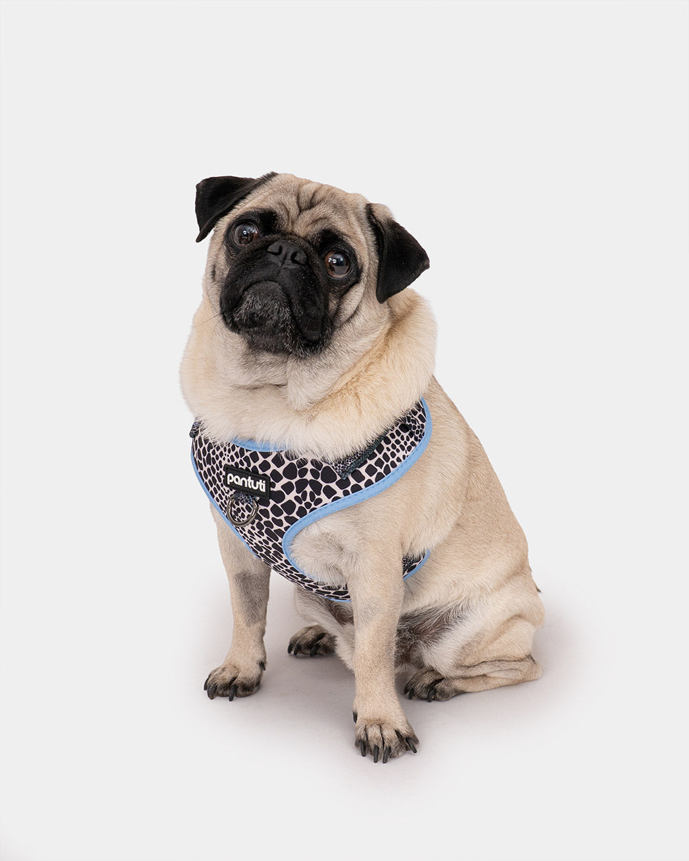 Mamba Snake Pattern No-Pull Dog Harness