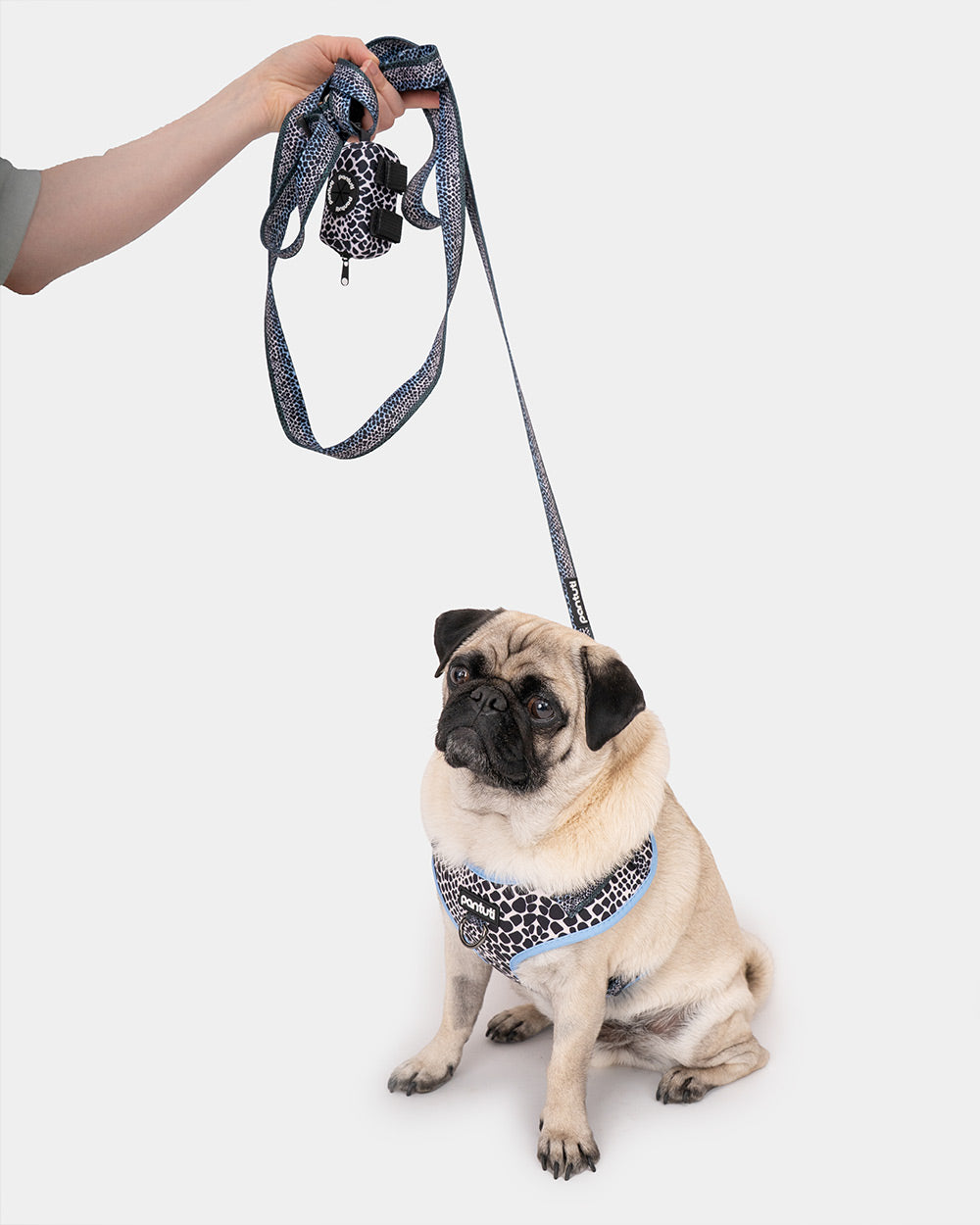 Adjustable dog leash Mamba snake pattern