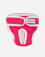 Majtki dla suk na ruję "NATALA"