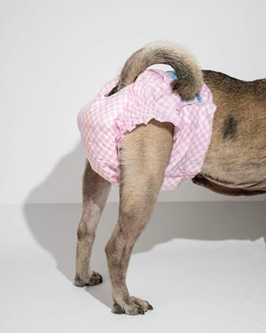 Absorbent diapers for female dogs PUPPERS CLASSIC