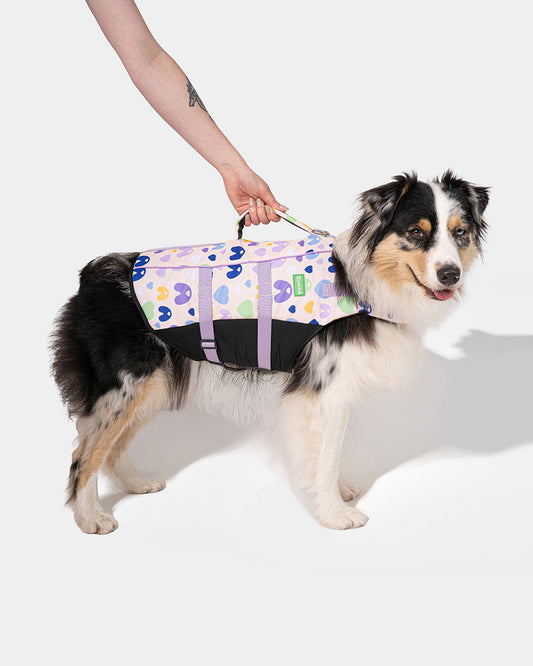 Dog life jacket EGG OF SALVATION