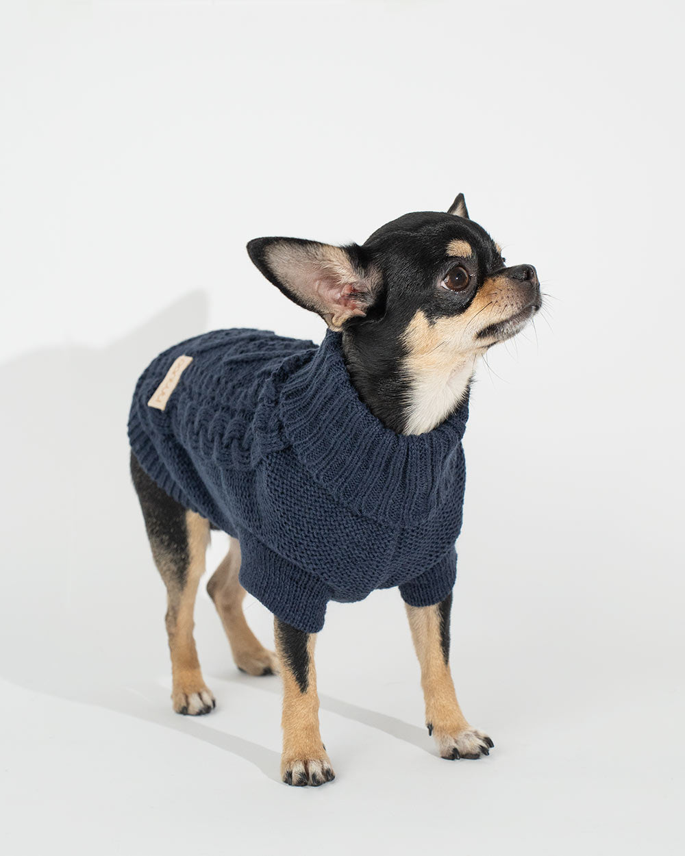 Warmer Hundepullover LETO