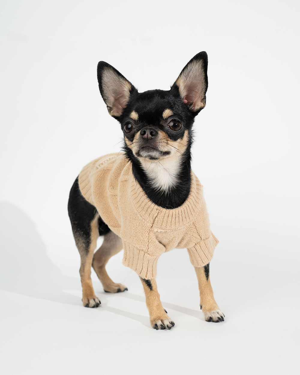 Warm und elastisch Hundepullover JANIS