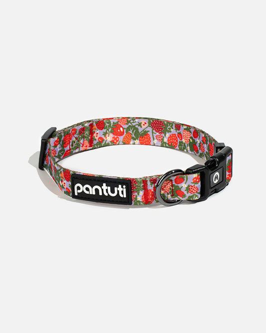 Strawberry dog collar BERRY