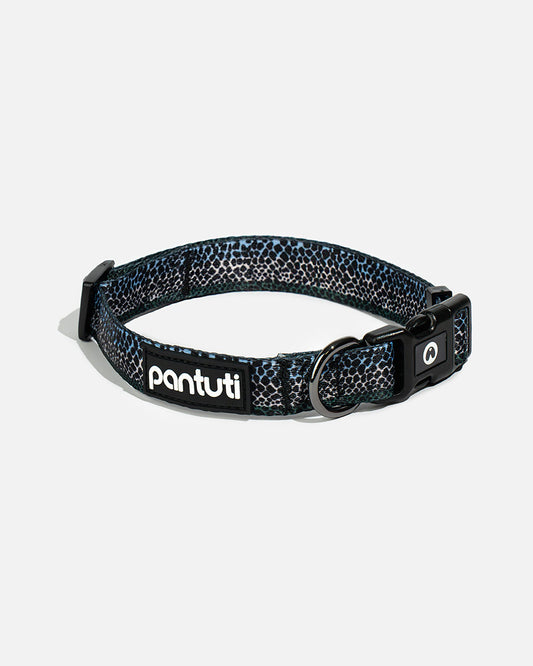 MAMBA snake pattern dog collar