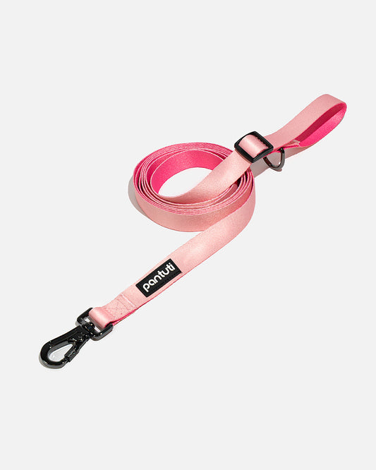 Adjustable Dog Leash AMORE