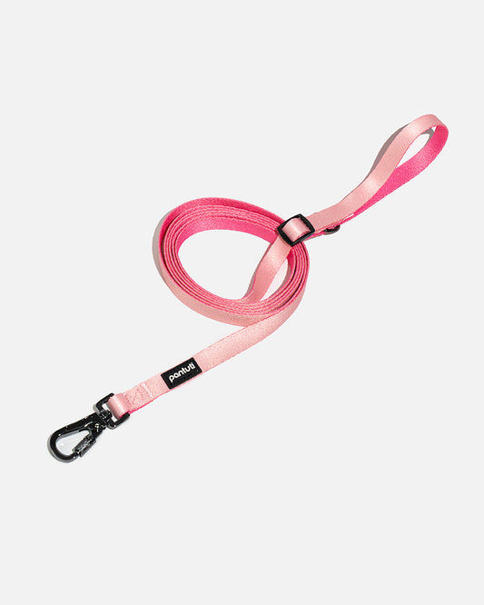 Adjustable Dog Leash AMORE