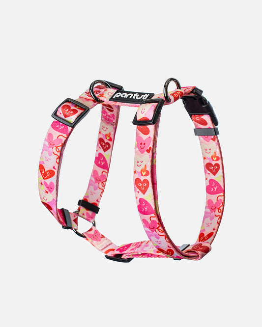 AMORE dog guard harness with hearts