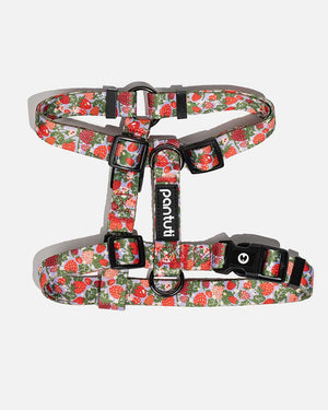 Strawberry guard harness for dogs BERRY