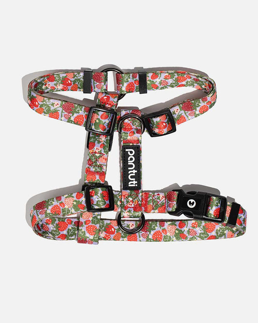 Strawberry guard harness for dogs BERRY