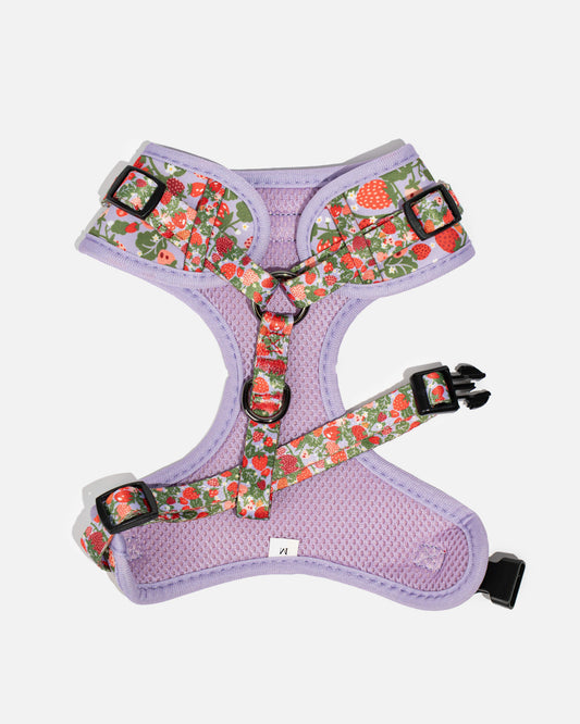 No-pull dog harness with strawberries BERRY