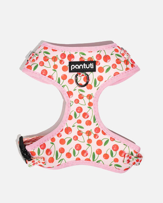 No-pull dog harness in CHERRY PUP cherries