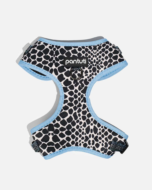 Mamba Snake Pattern No-Pull Dog Harness