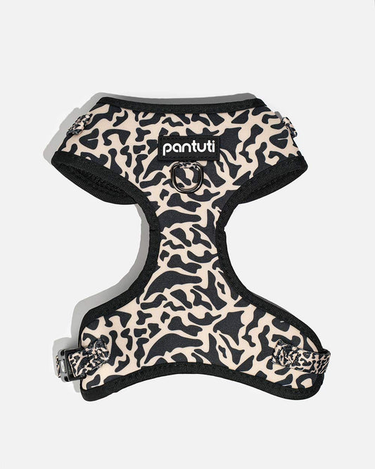 SAFARI spotted no-pull dog harness