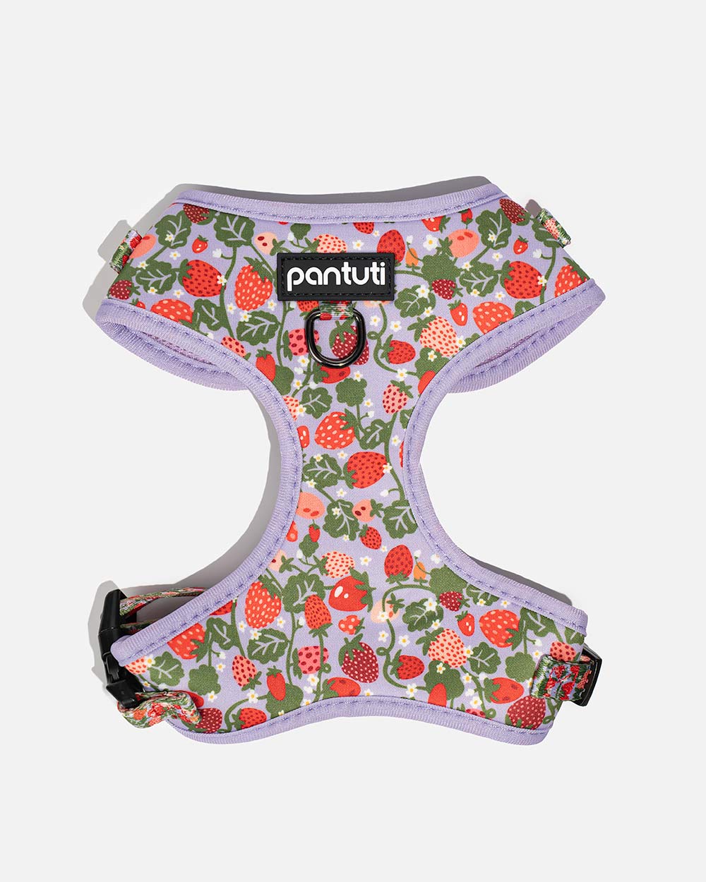 No-pull dog harness with strawberries BERRY
