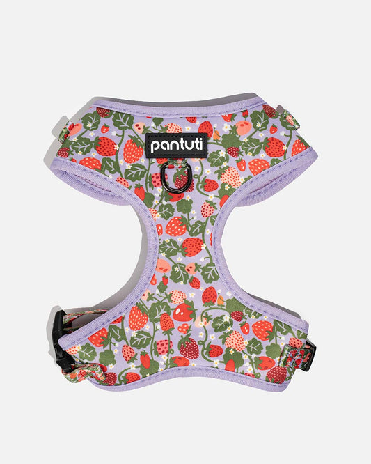 No-pull dog harness with strawberries BERRY