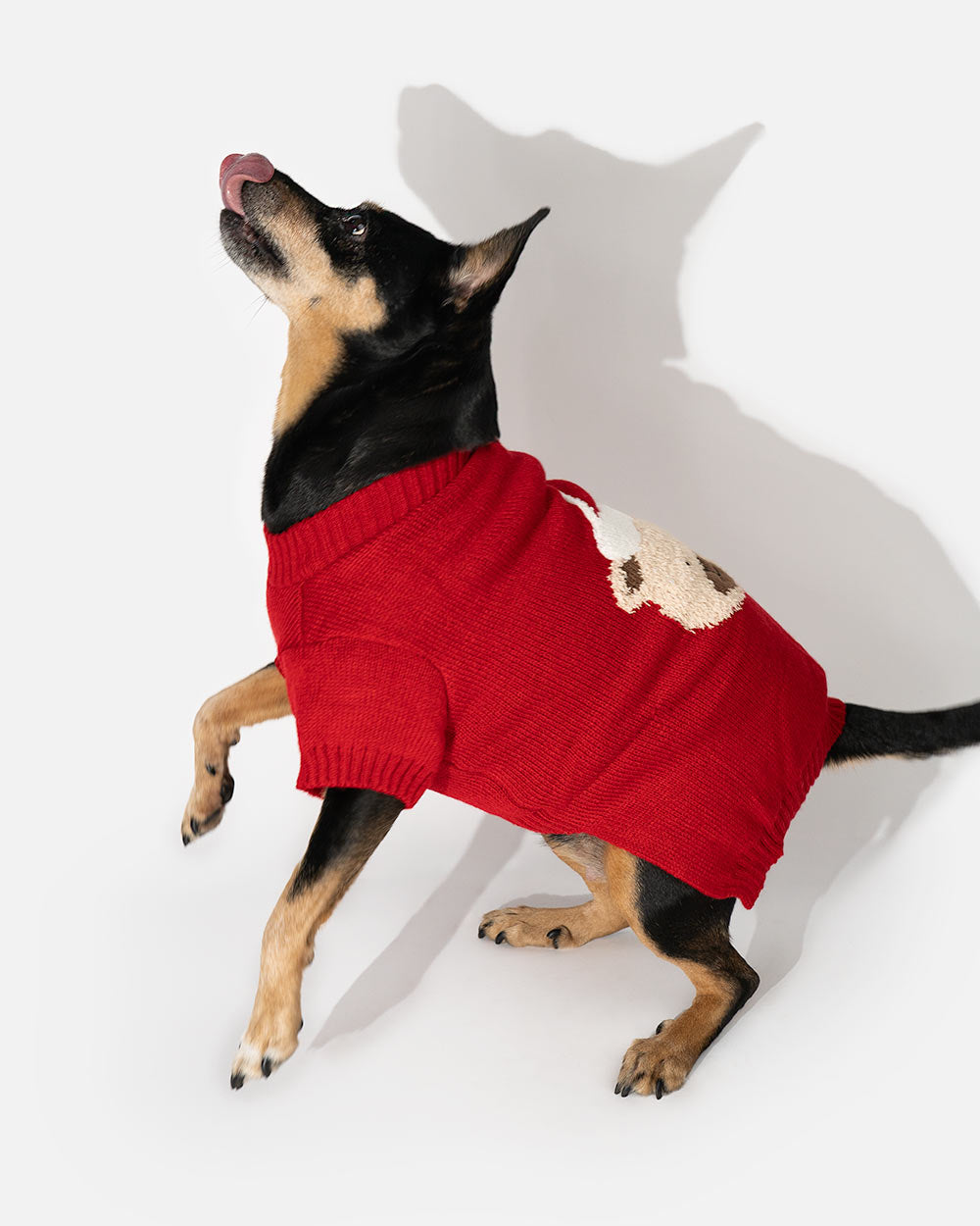 cf3e473884e7dbfa007bf98509b88ca7