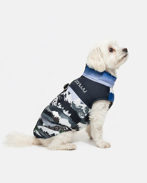 Dog jacket fastened on the back with a motif of ALPI mountains