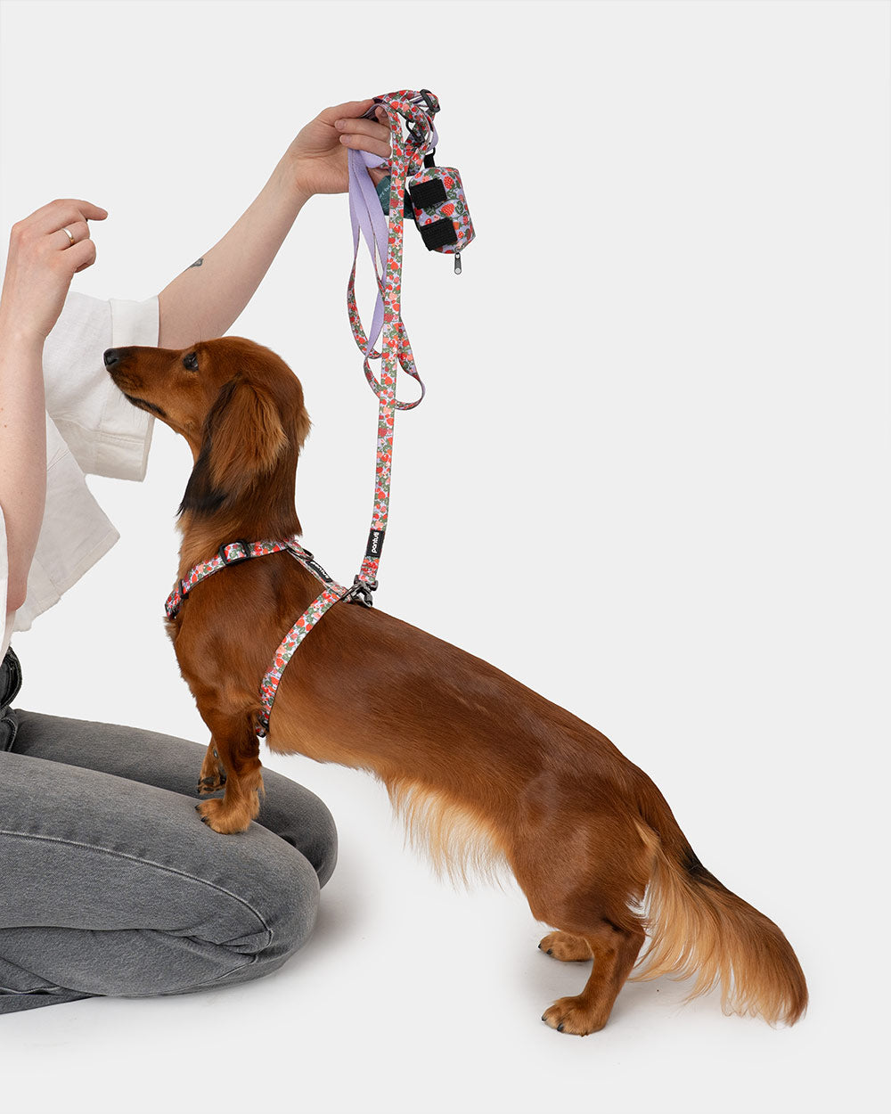 Adjustable dog leash in strawberry BERRY