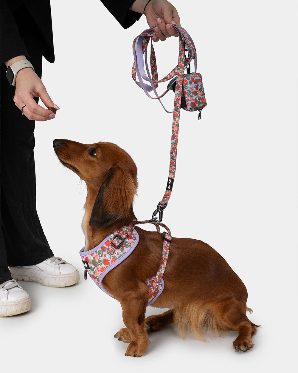 No-pull dog harness with strawberries BERRY