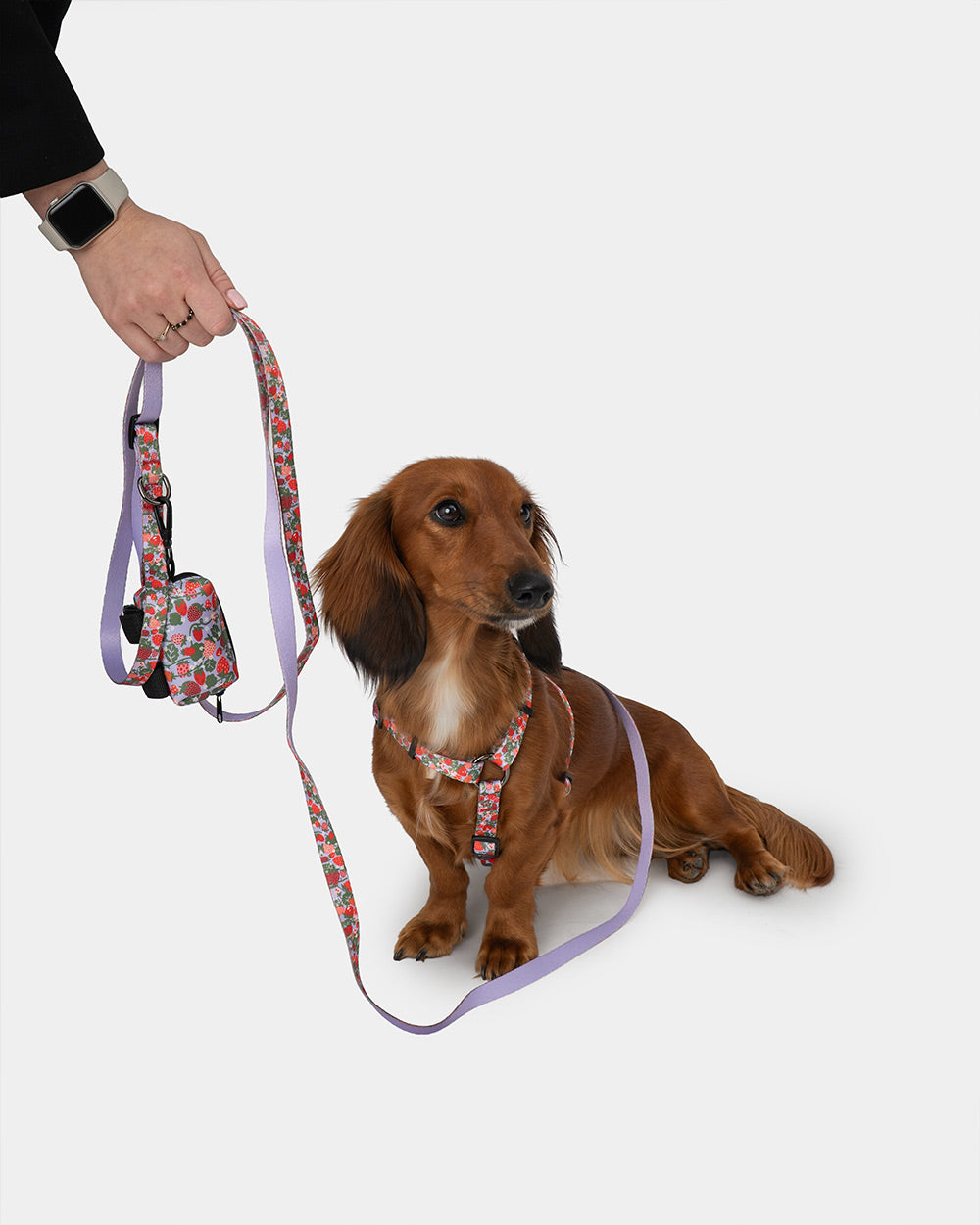 Strawberry BERRY poop bag holder for dogs