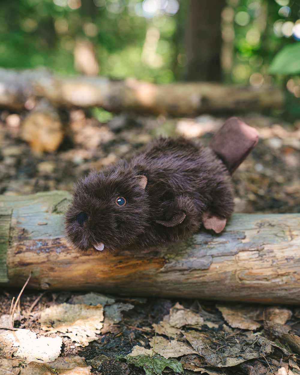 Interactive dog toy MR. BEAVER