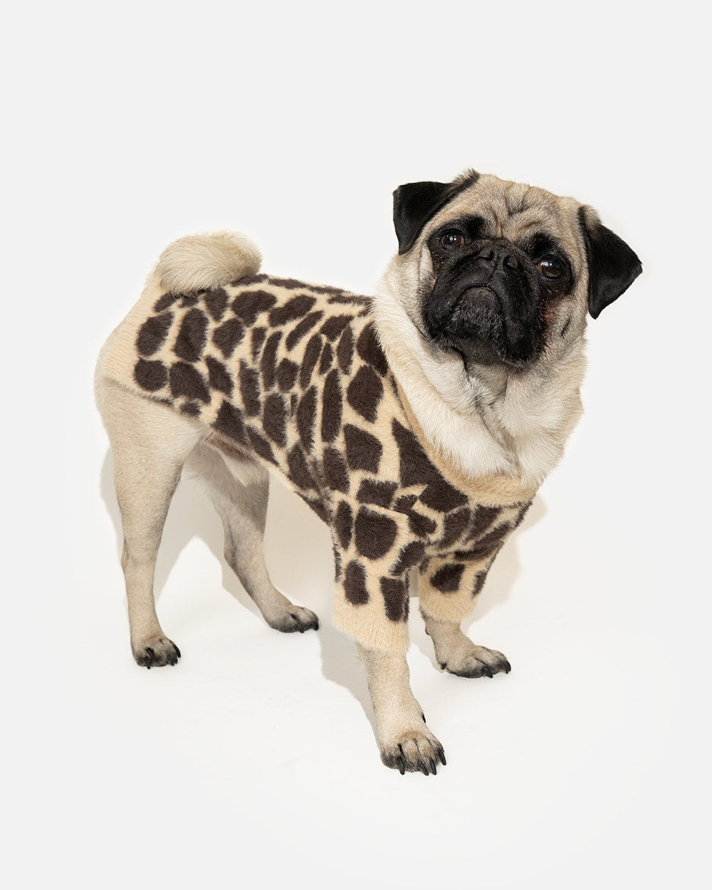 bac6c1b6bca428aa18f807b991bddb48