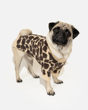 Warm flexible leopard print dog sweater BREGO