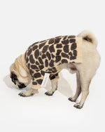 ee055a354f04fbc71e218f26ec755357