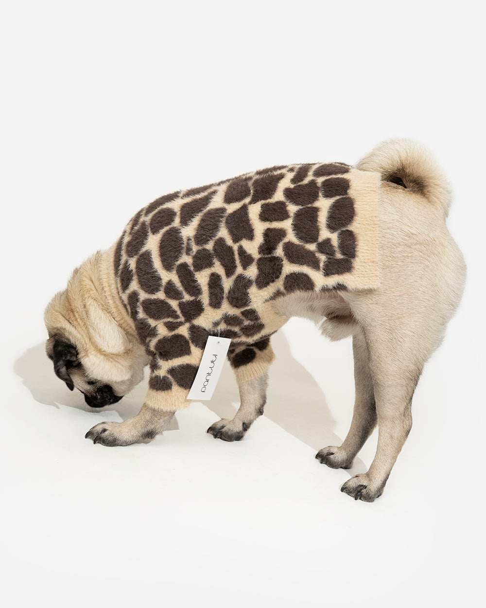 ee055a354f04fbc71e218f26ec755357