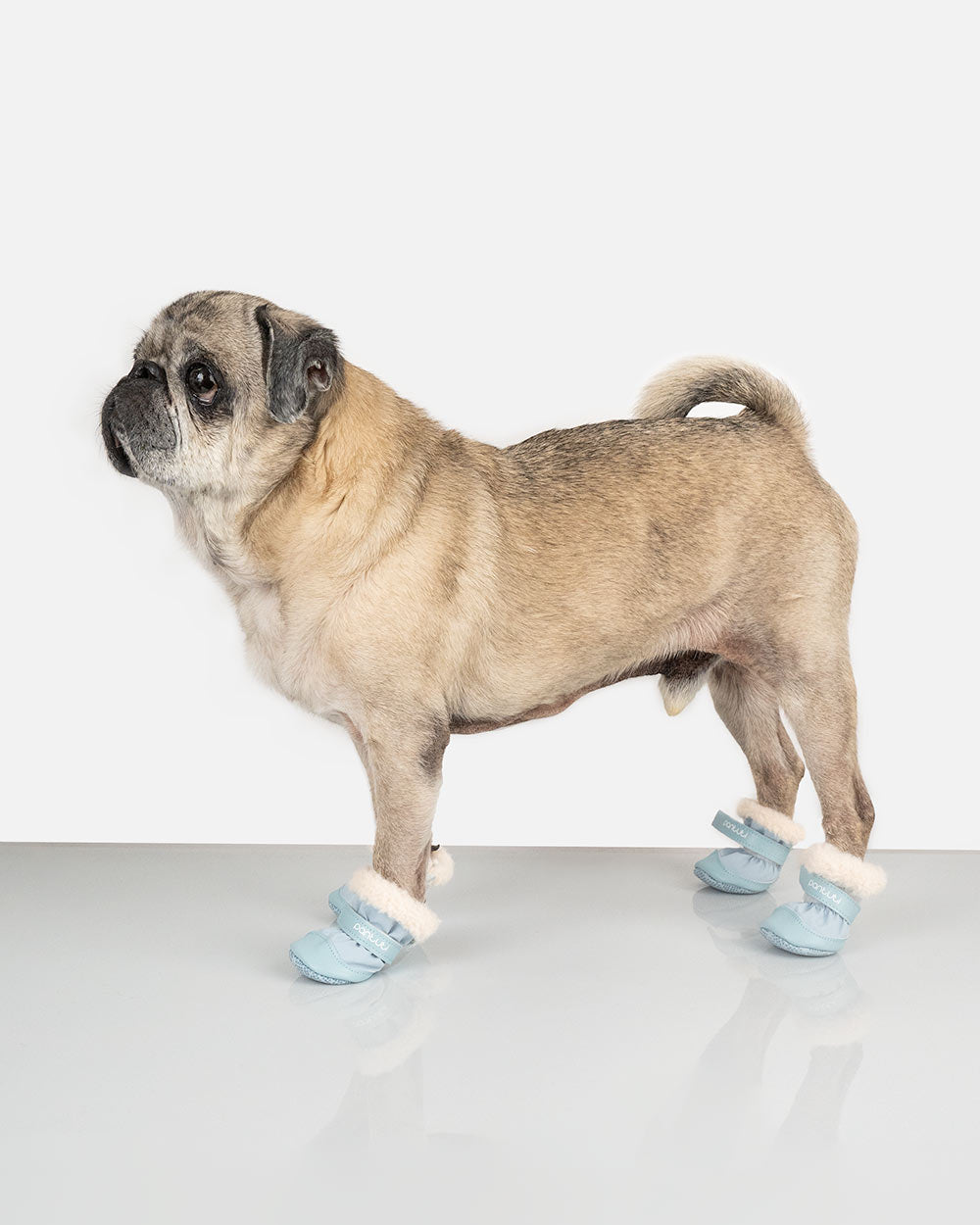 1bc0b7aac7dd3e2a6c53b3ec9da59677