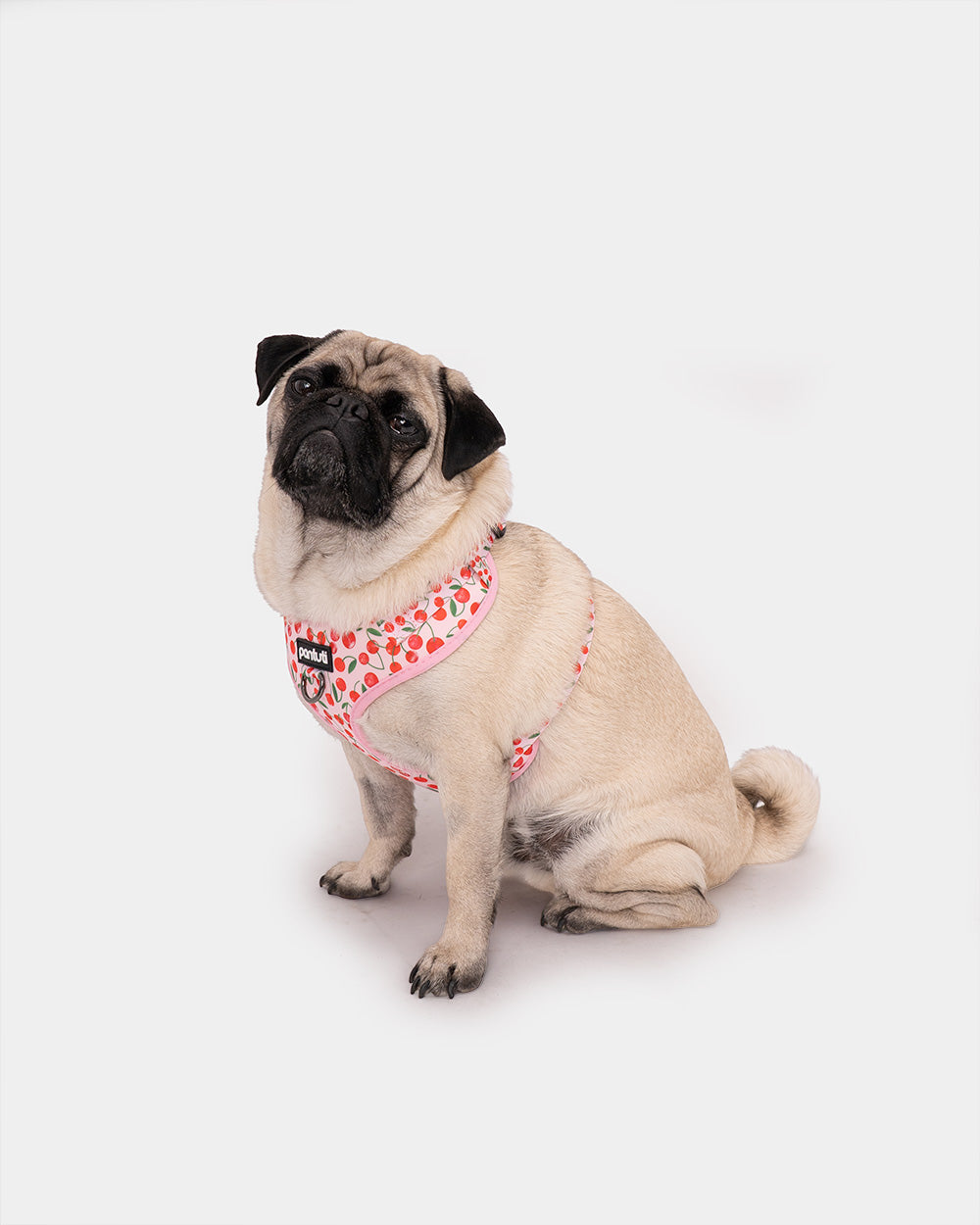 No-pull dog harness in CHERRY PUP cherries