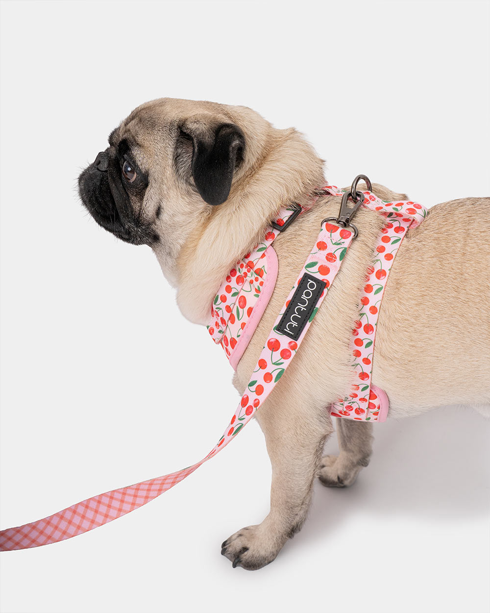 No-pull dog harness in CHERRY PUP cherries