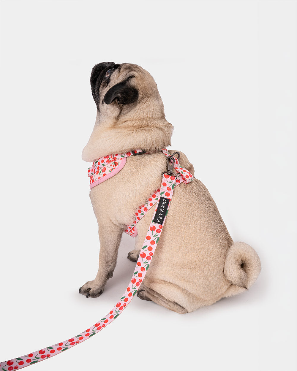 No-pull dog harness in CHERRY PUP cherries