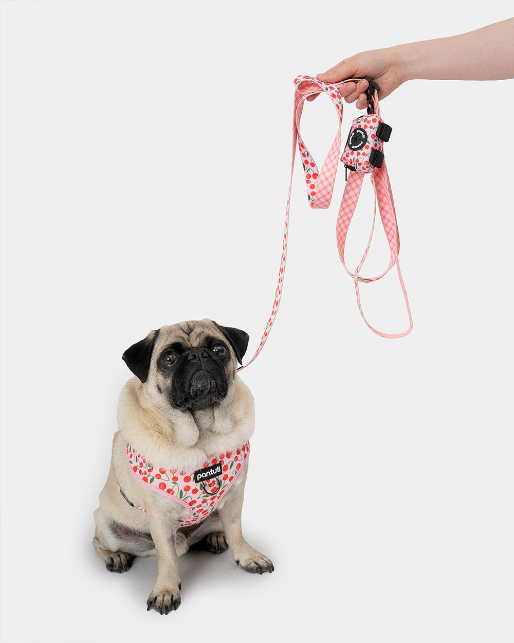 No-pull dog harness in CHERRY PUP cherries