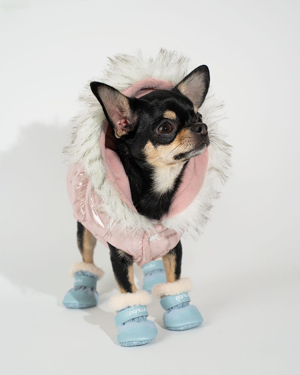 fabd59415868a615c8cd3f2f26b038cd