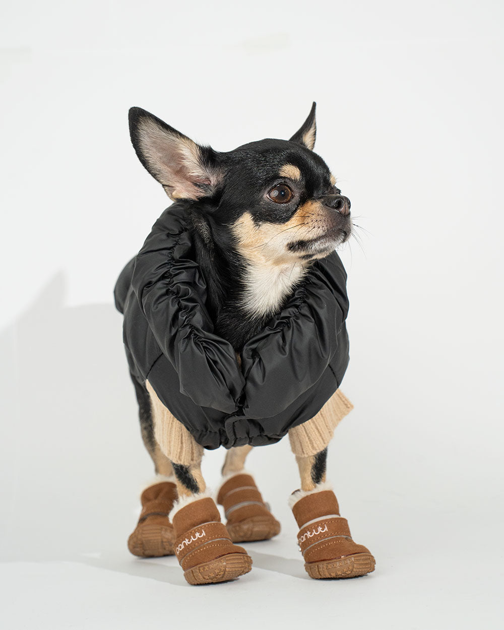Warme Hundejacke mit Leinenbefestigung "MARGOT"